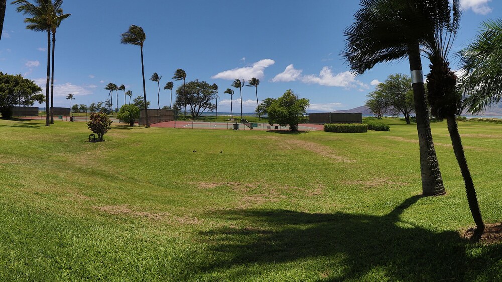 Condo, 1 Bedroom, Ocean View - Guestroom View