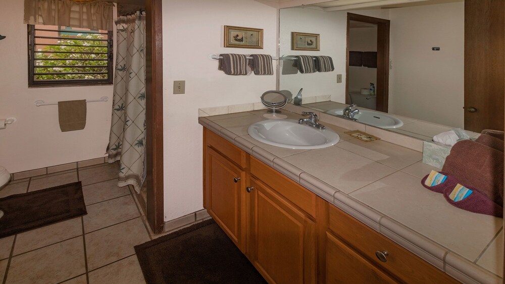 Condo, 1 Bedroom, Ocean View - Bathroom