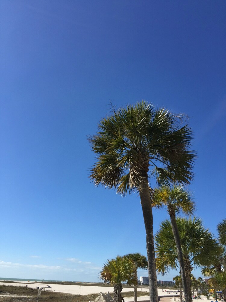Beach/Ocean View