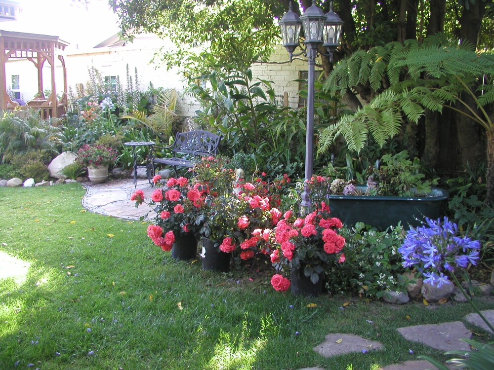 Giardino