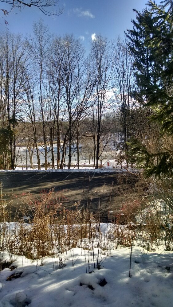 View from Hotel