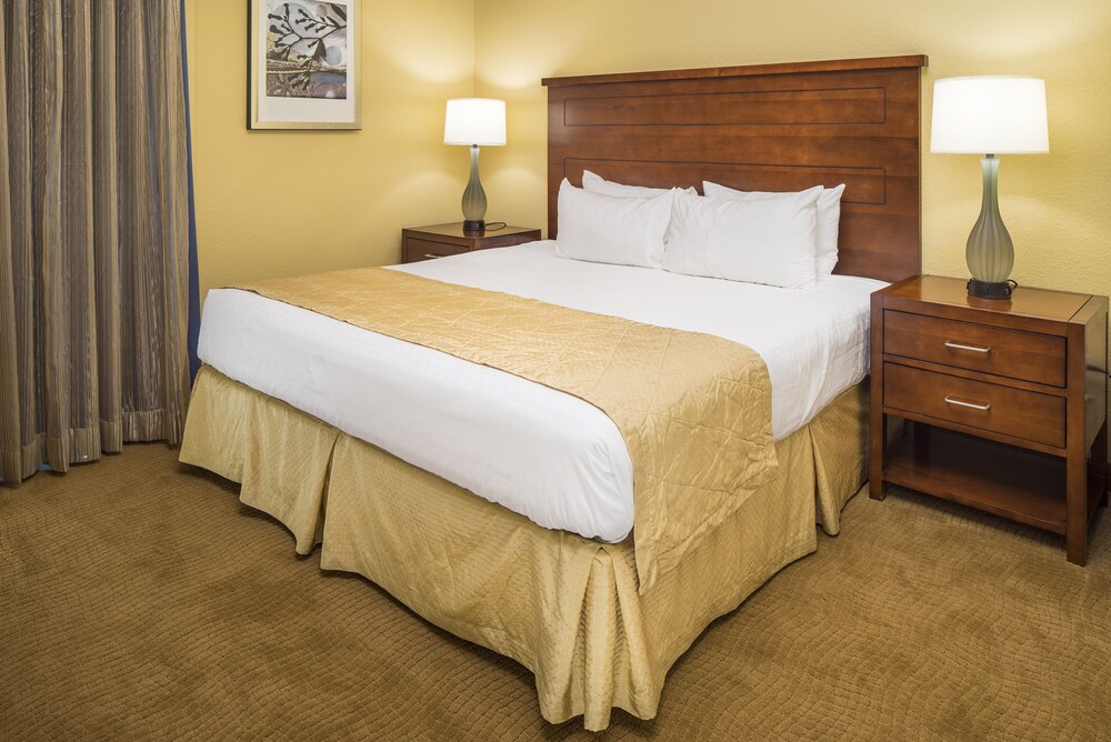 Studio, 1 Queen Bed with Sofa bed - Guestroom