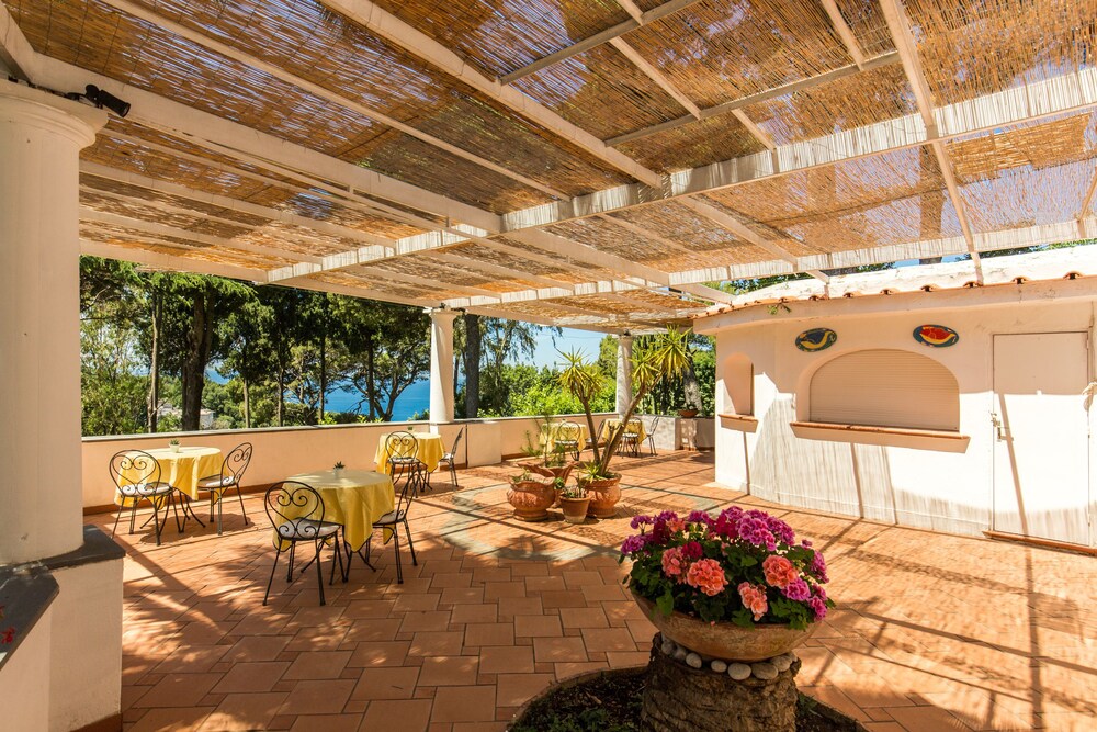Courtyard View