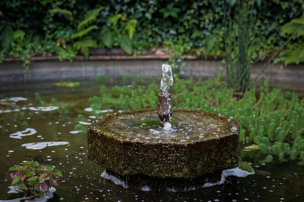 Fountain