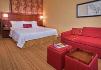 Room, 1 King Bed with Sofa bed