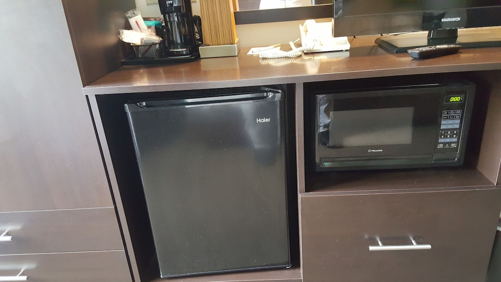 Mini-Refrigerator
