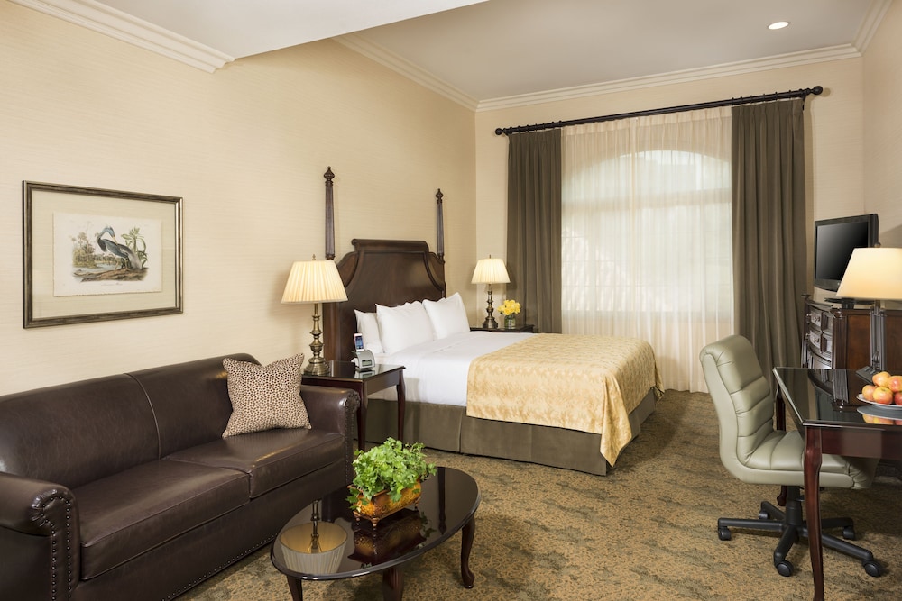 King Studio Suite - Guestroom
