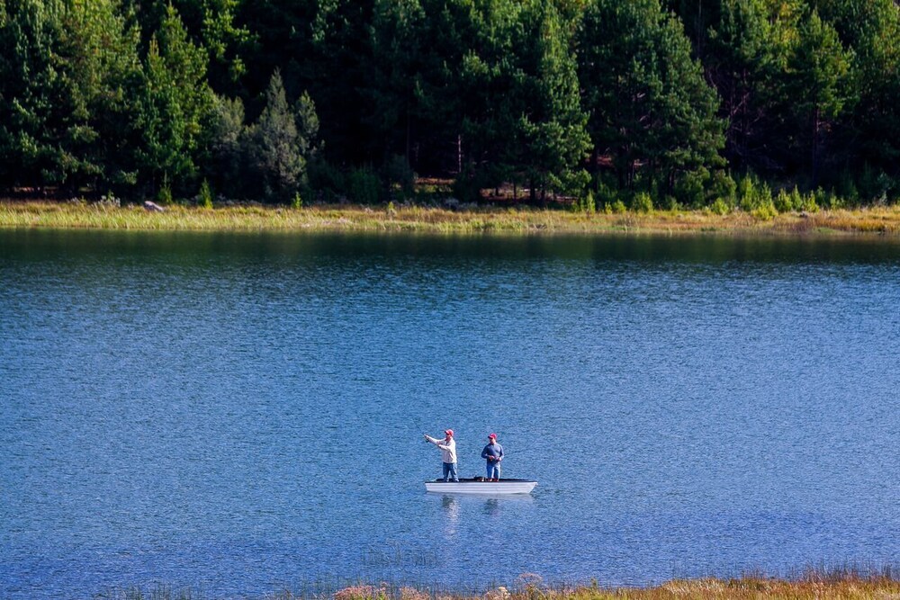 Fishing