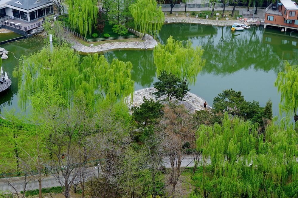 View from Hotel