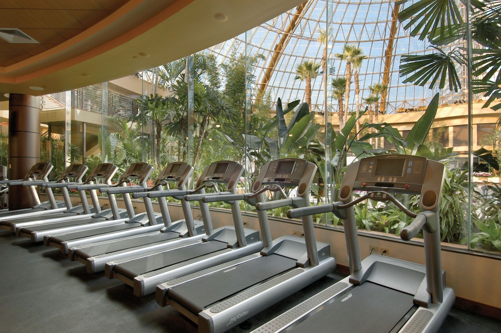 Sports Facility