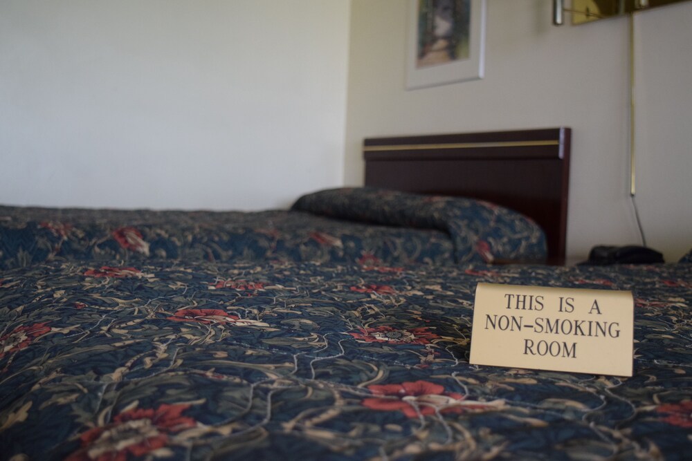 Guestroom View