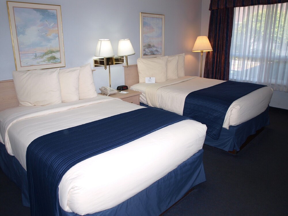Guestroom View