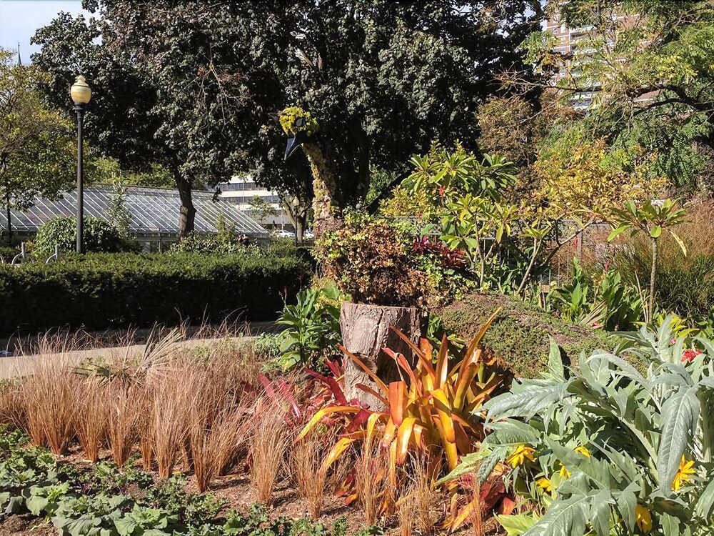 Garden