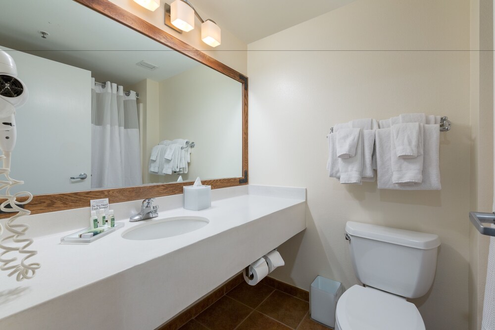 Bathroom, Silverton Casino Hotel