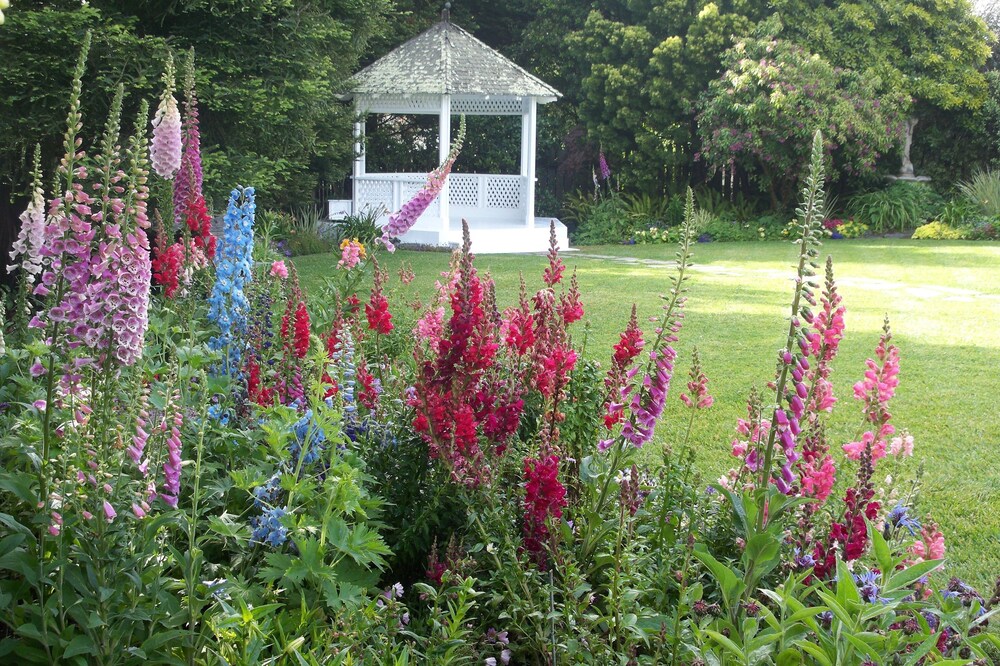 Outdoor Wedding Area