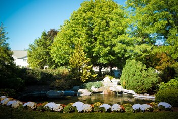 Fountain