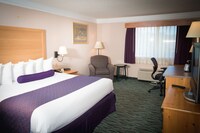 Business Room, 1 King Bed, Non Smoking, Microwave