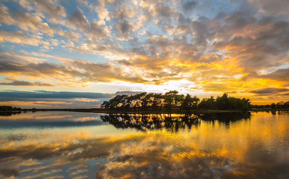 Lake View