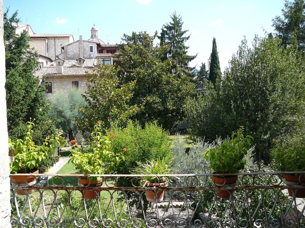 Vue sur le jardin