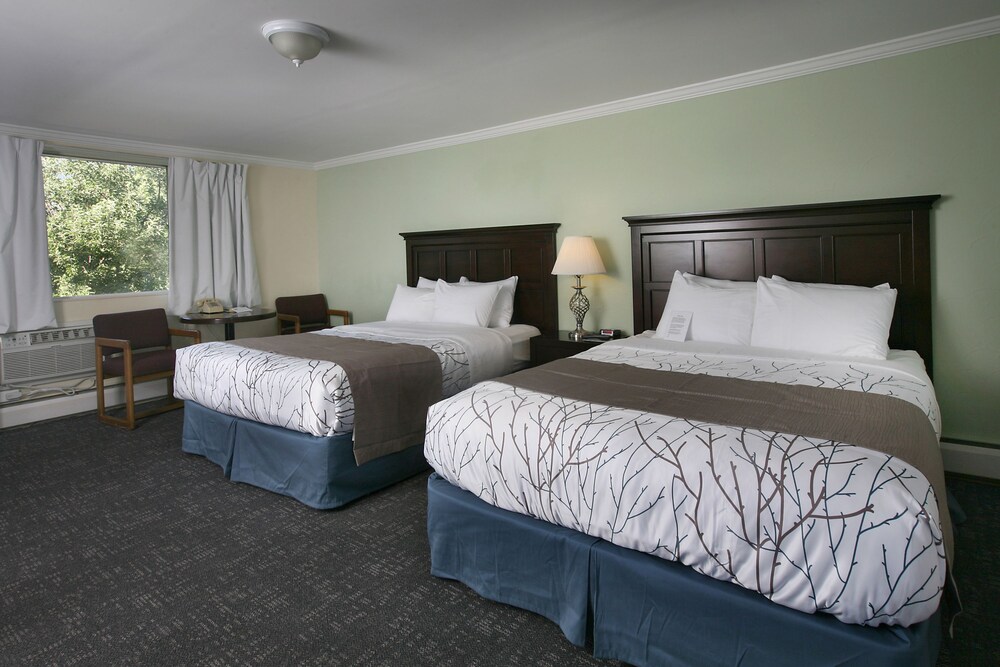 Guestroom View