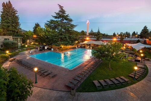 Flamingo Resort