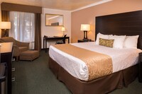 Standard Suite, 1 King Bed, Accessible, Bathtub