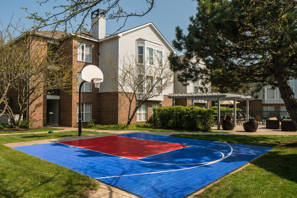 Basketball Court