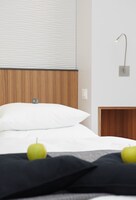 Superior Single Room, 1 Queen Bed
