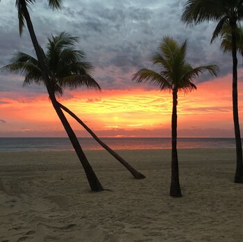 Beach/Ocean View
