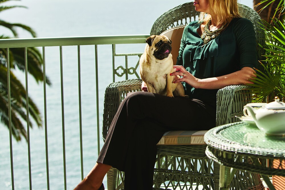 Pet-Friendly