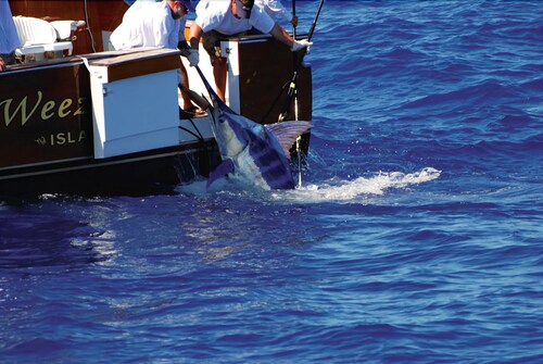 Fishing