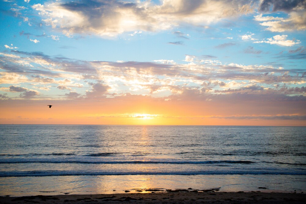 Beach/Ocean View