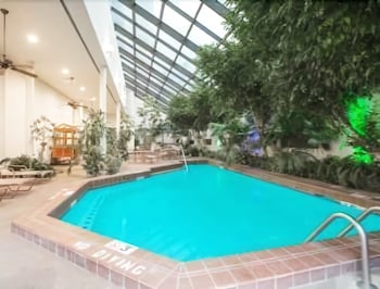 Indoor/Outdoor Pool