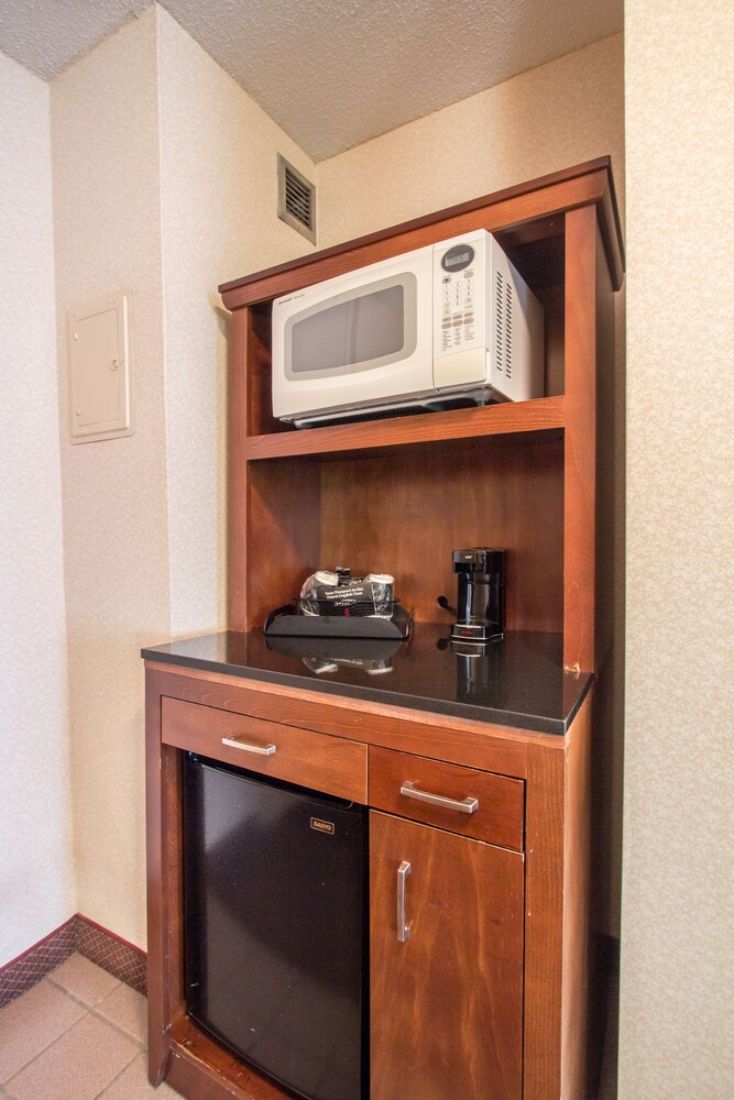 Mini-Refrigerator