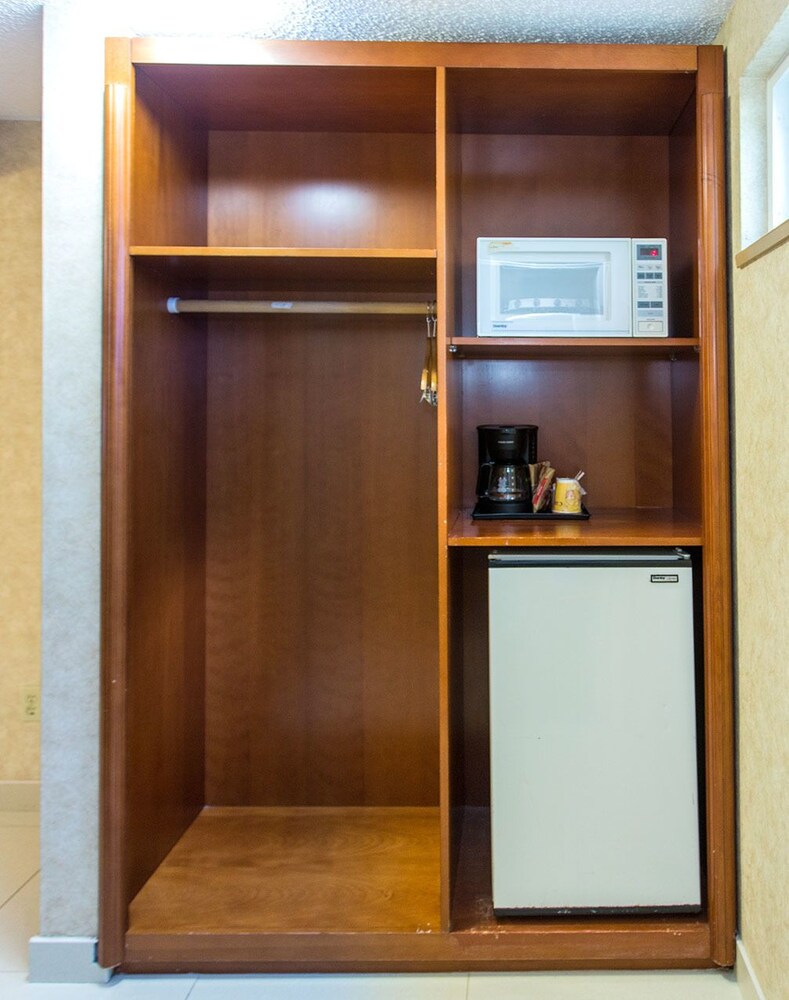 Mini-Refrigerator