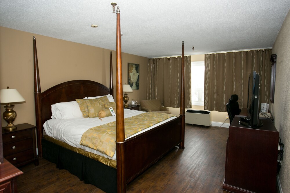 Guestroom View