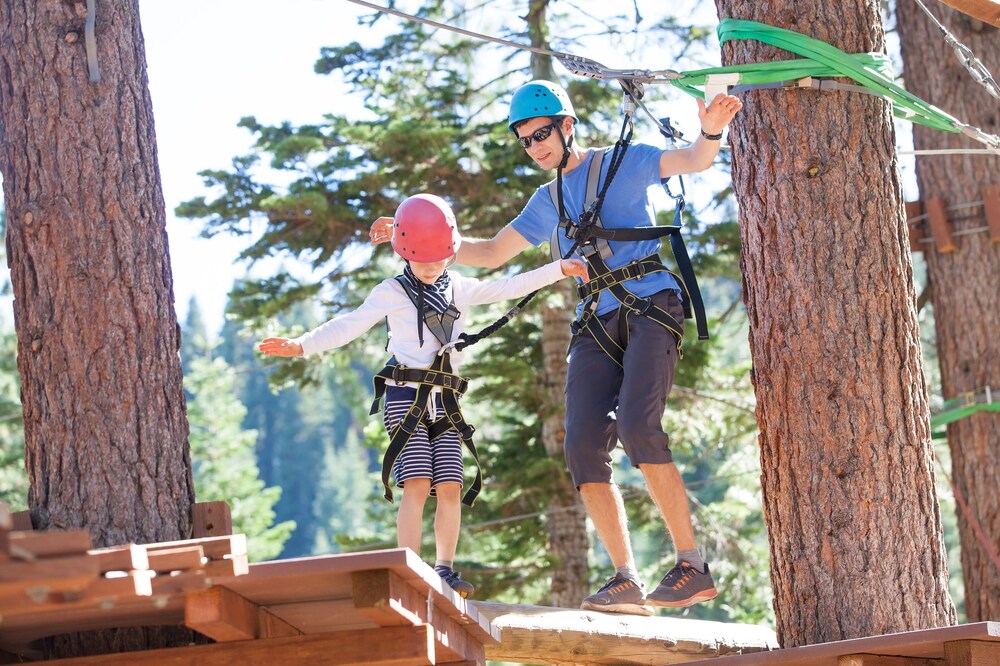 Ropes Course (Team Building)