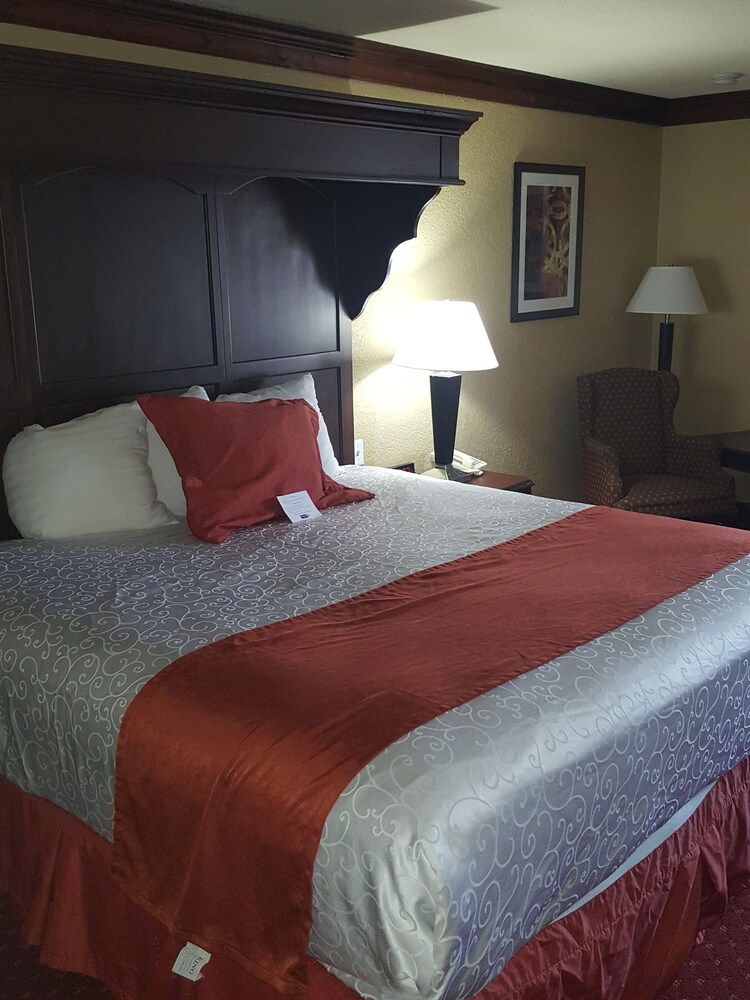 Guestroom View