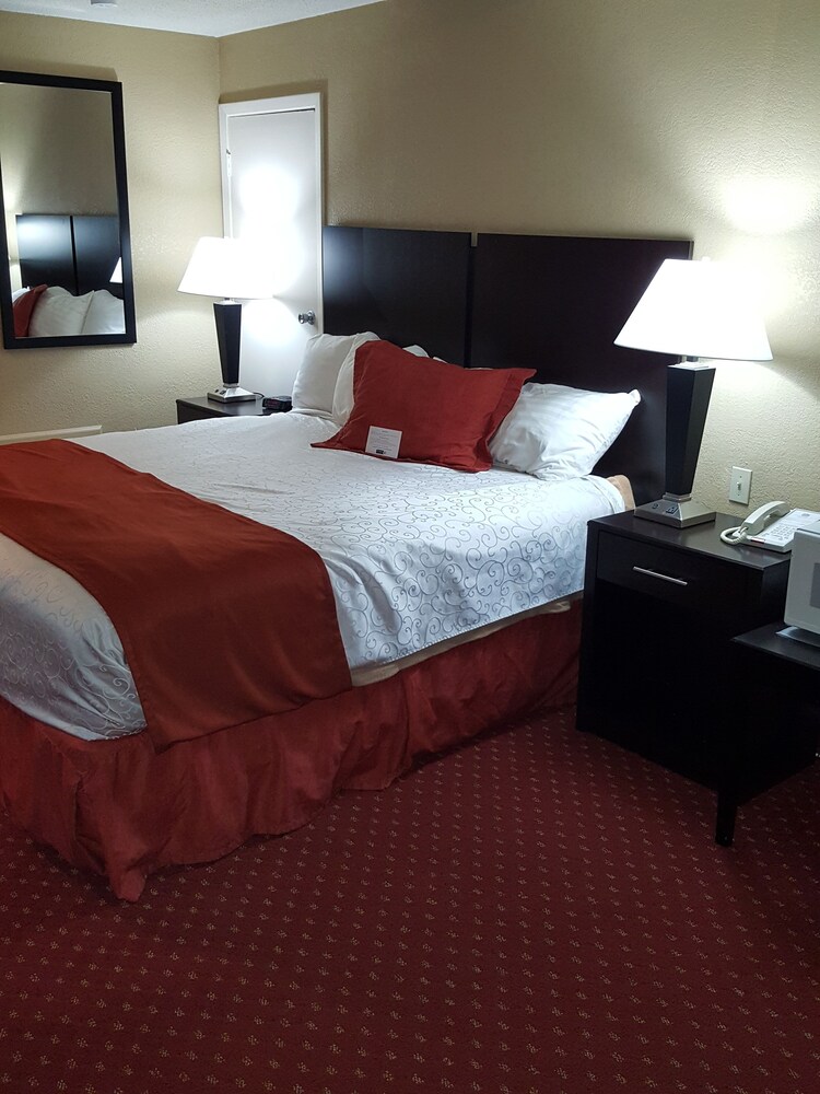 Guestroom View
