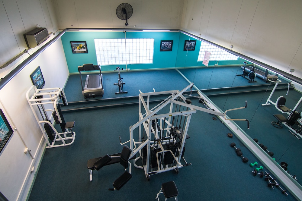 Palestra