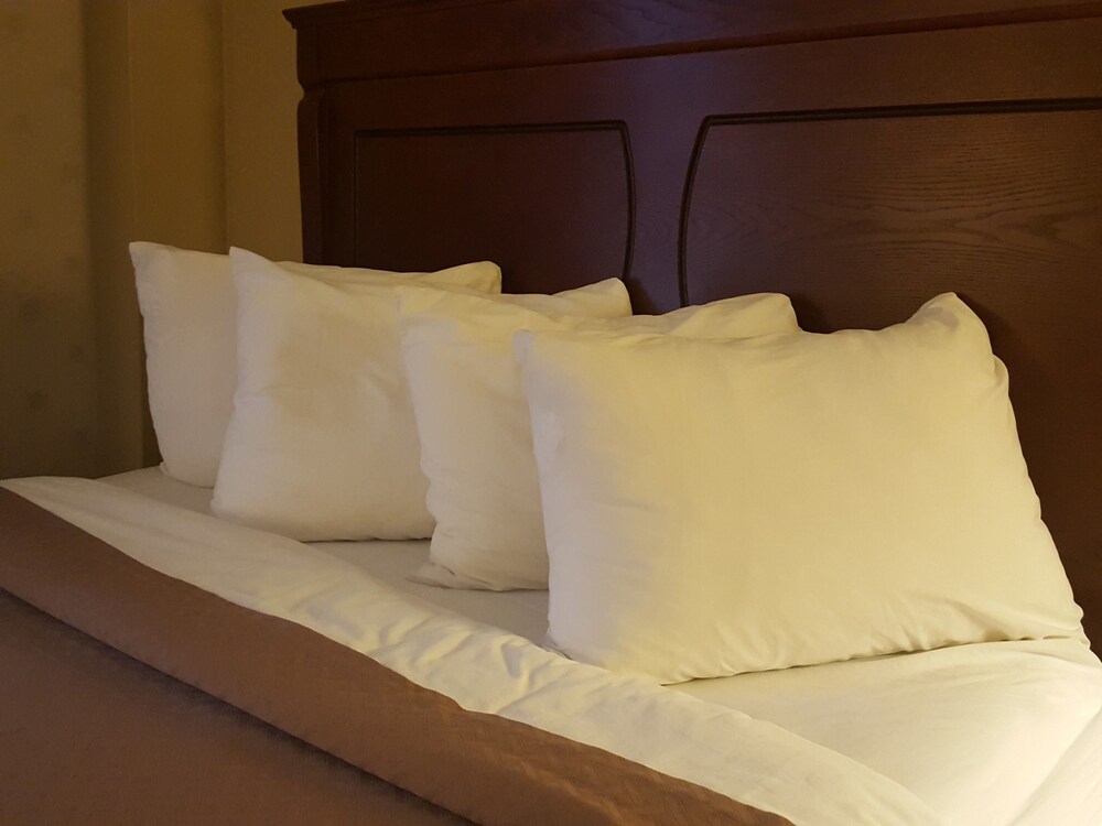 In-Room Amenity