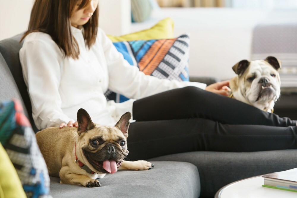 Pet-Friendly