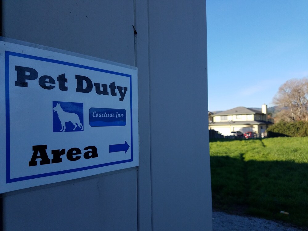 Pet-Friendly