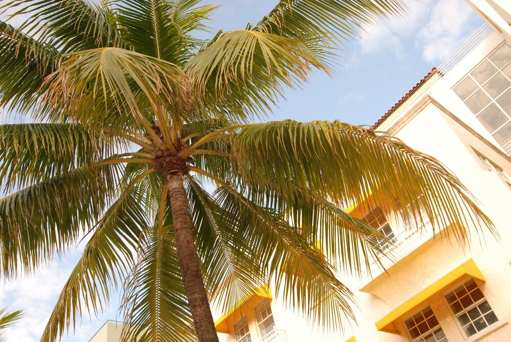 Suite, 1 Bedroom, Oceanfront - Guestroom
