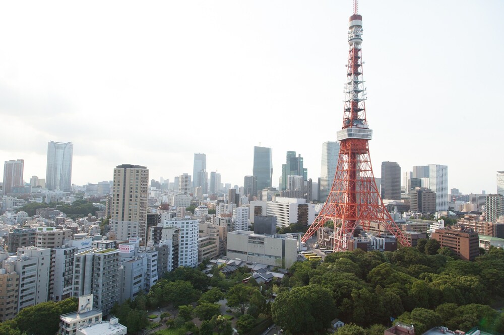 客室からの眺望