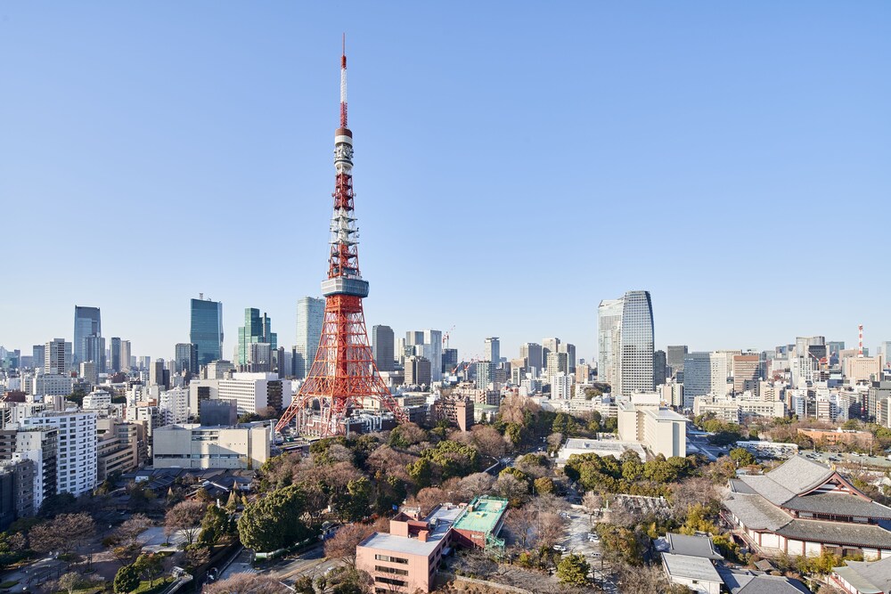 客室からの眺望