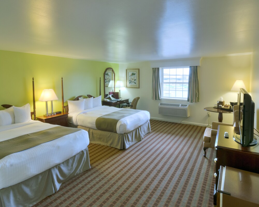 Guestroom View