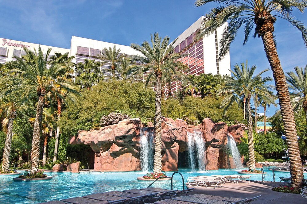 Outdoor pool, Flamingo Las Vegas Hotel & Casino