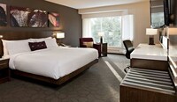 Room, 1 King Bed (Free wireless Internet)