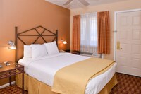 Room, 1 King Bed